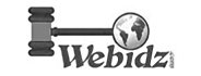 Webidz